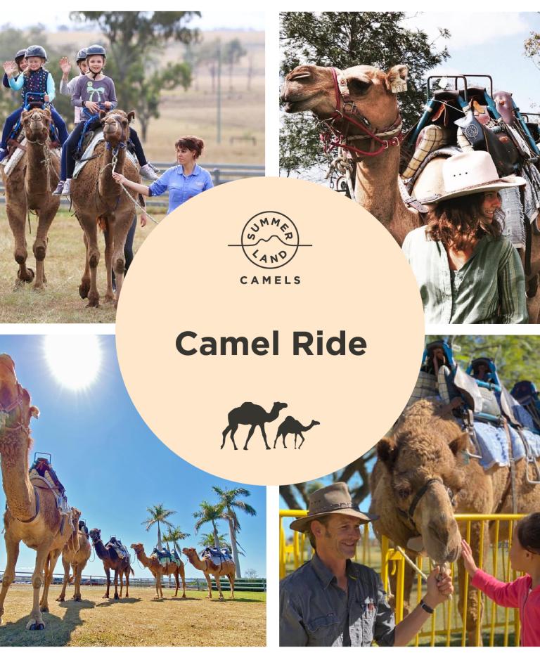 camel ride redzy cover