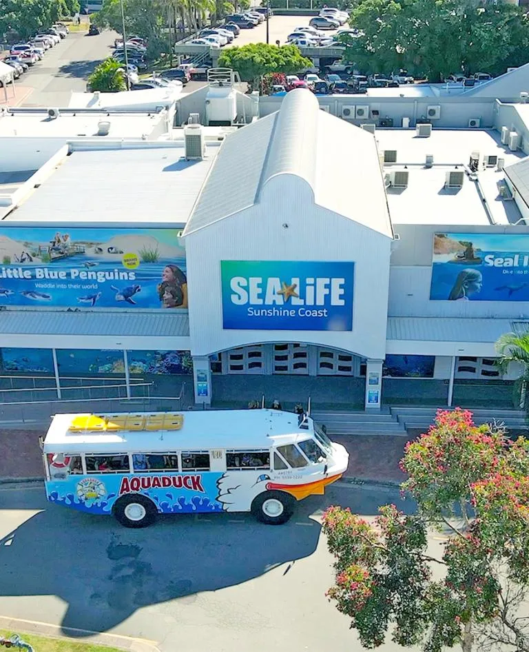 Sea Life Sunshine Coast