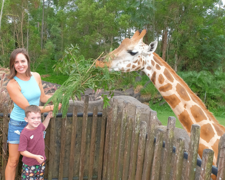 Aunty and nephew at Australia Zoo feeding Giraffe