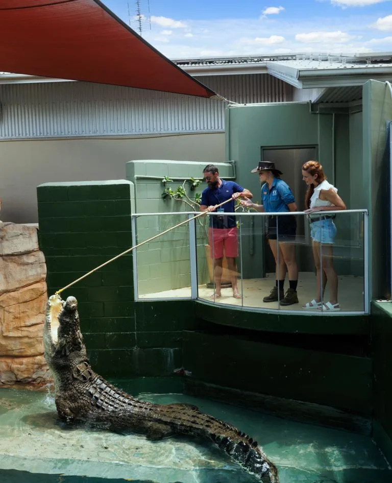 Feeding the croc