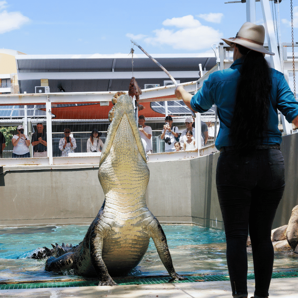 Crocosaurus Cove