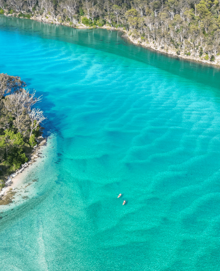 Navigate Expeditions Pambula River Kayaking