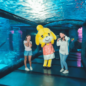 Sea Life Sunshine Coast