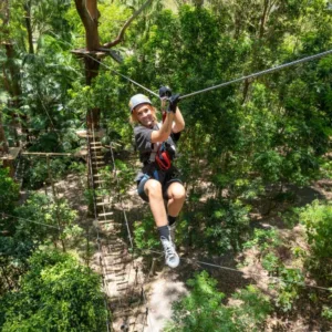 Currumbin Zipline