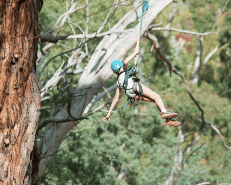 Ziplining at Mount Lofty
