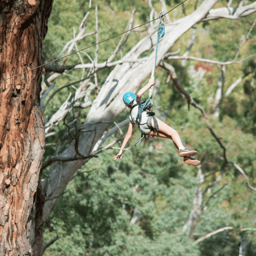 Ziplining at Mount Lofty