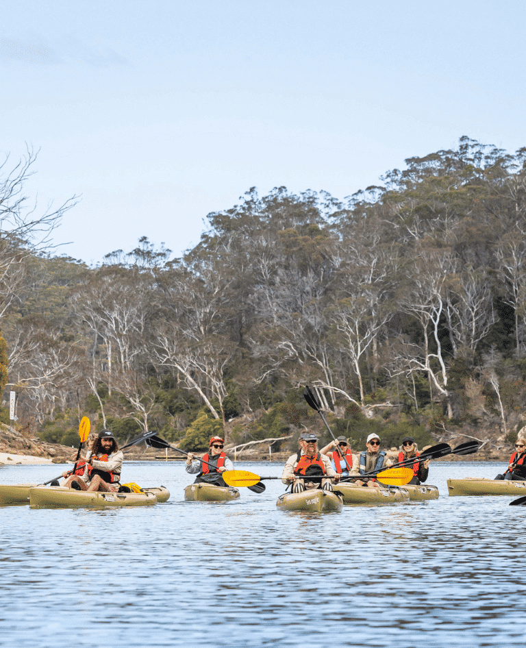 Navigate Expeditions Pambula