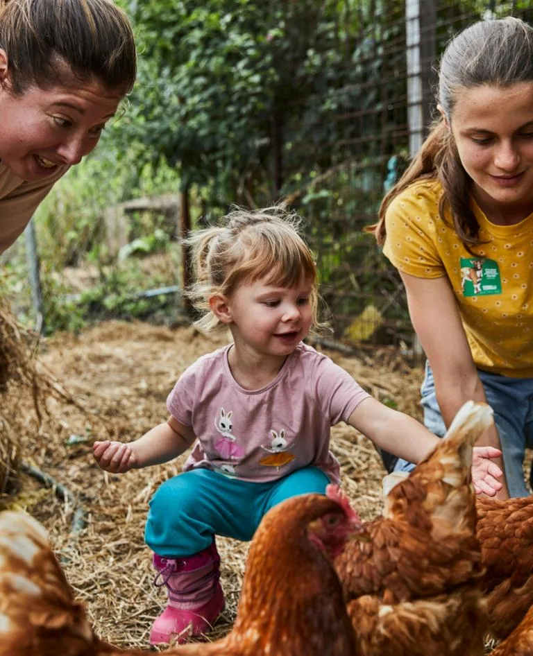 Green Connect Farm