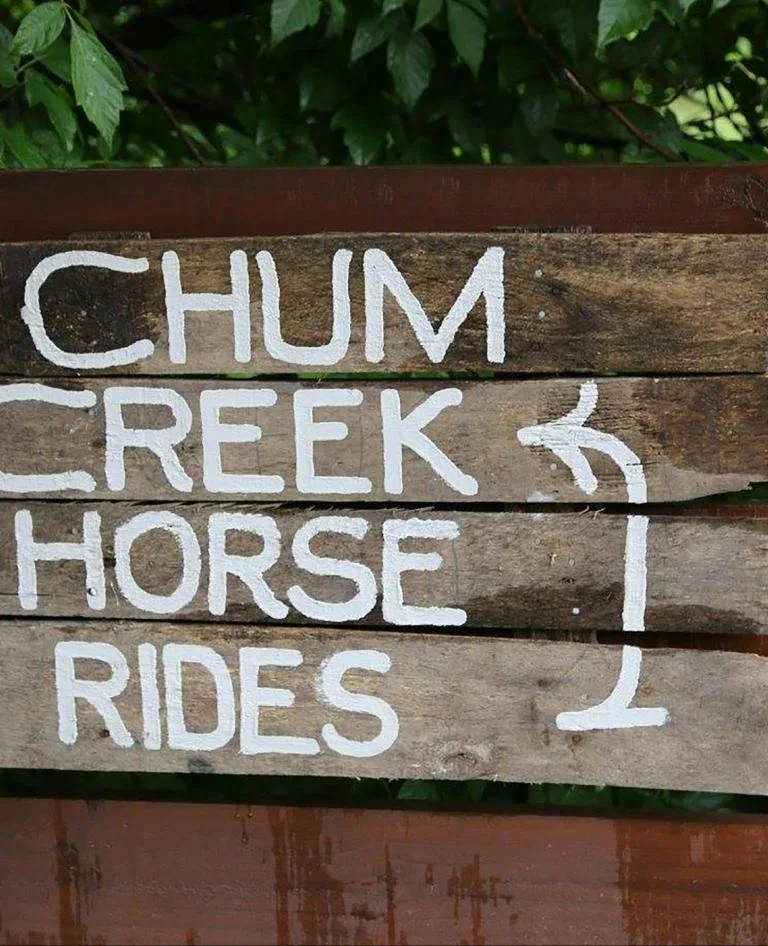 Chum Creek Horse Rides