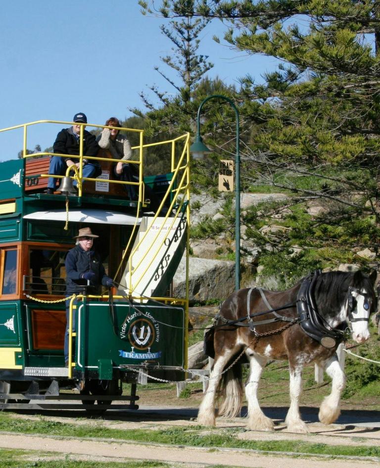 Horse Tram