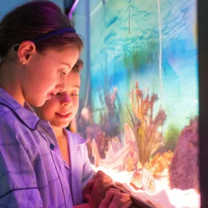 Marine Discovery Centre