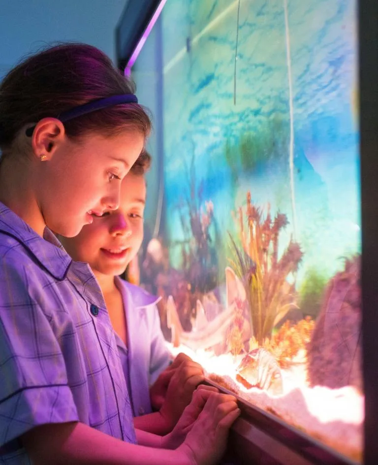 Marine Discovery Centre