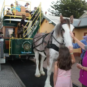 Victor Harbour Horse Tram