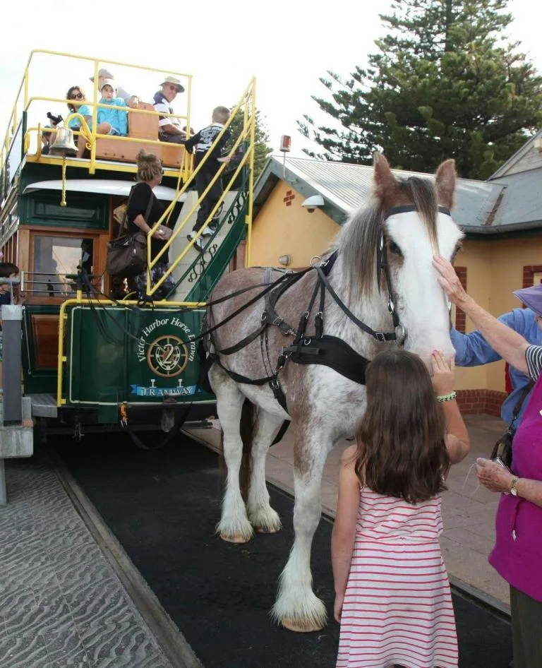 Victor Harbour Horse Tram