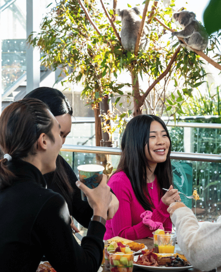 Breakfast at WILD LIFE Sydney