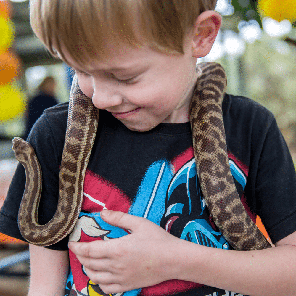 Boy with snake at Warrawong Wildlife Sanctuary