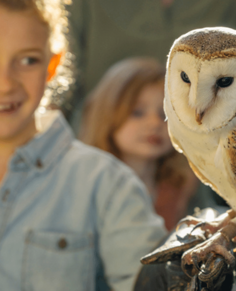 Girl with owl