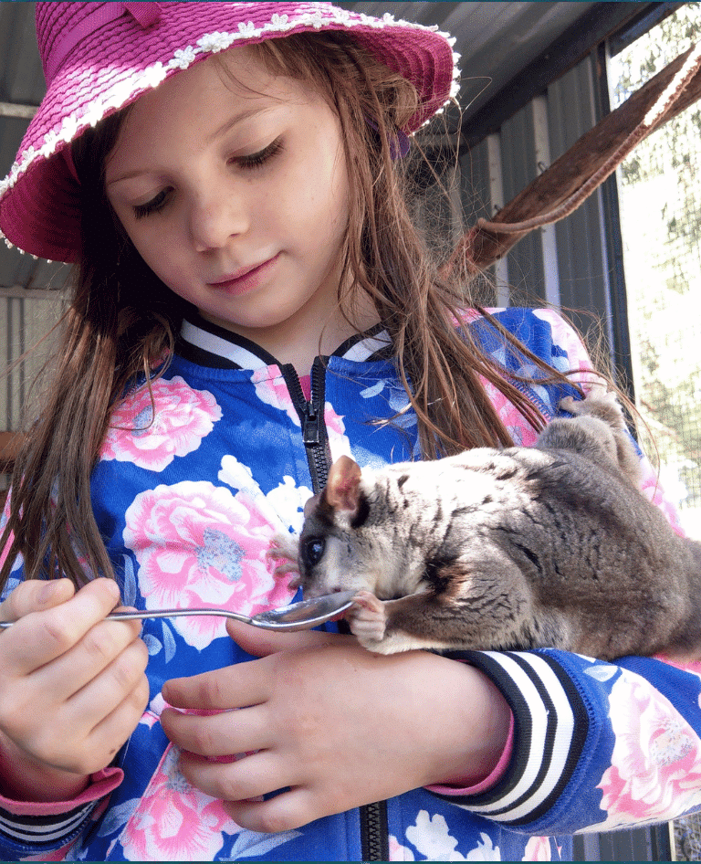 Girl feeding possum