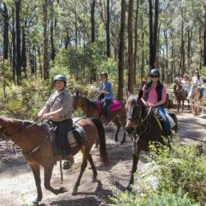 People horseriding