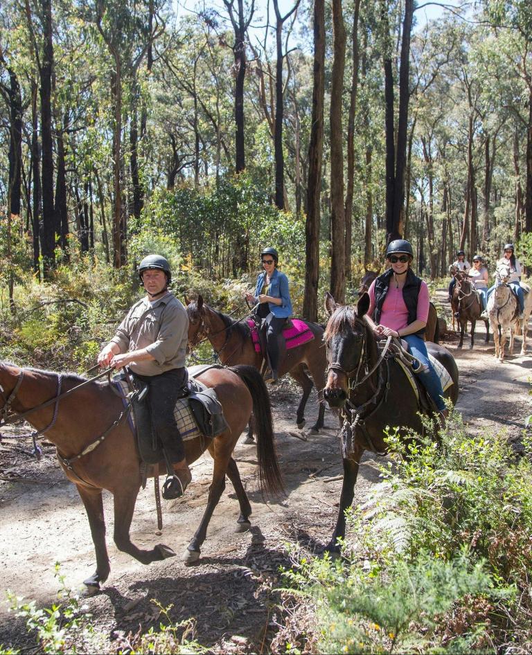 People horseriding