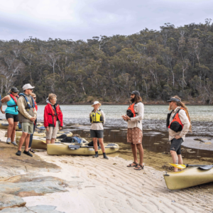 Kayakers on beach