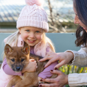Australian Reptile Park Winter Wonderland