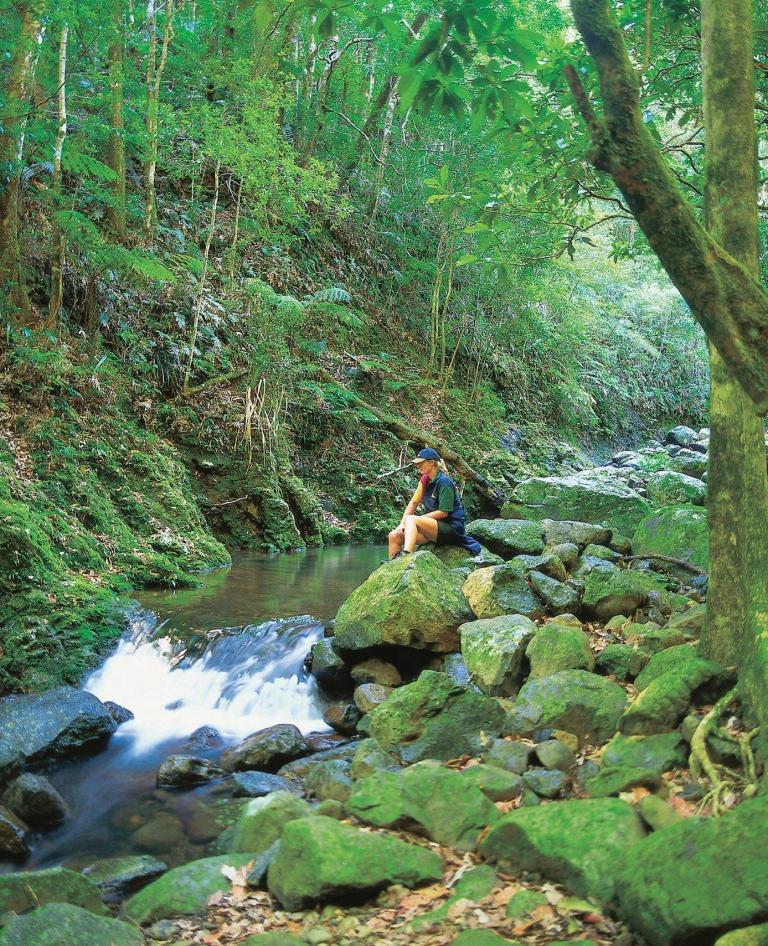 Binna Burra, Lamington National Park