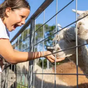 Farm Friends VIP Tour