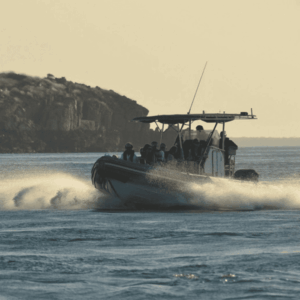 Giant Tides Sea Safari