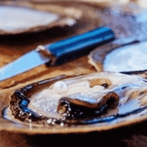 Pearl Farm Harvest Tour