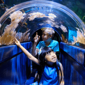 Sea Life Melbourne