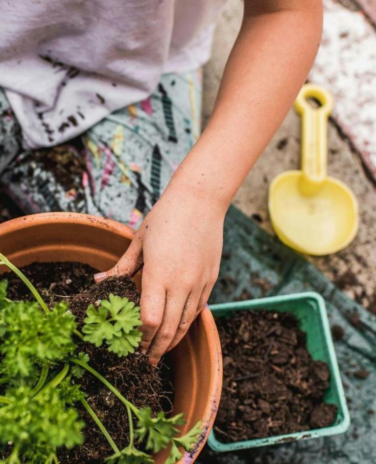 Planting