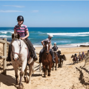 Gunnamatta Trail Rides St Andrews Beach Ride