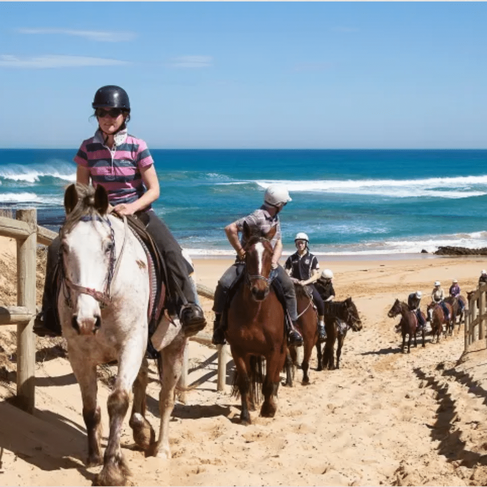 Gunnamatta Trail Rides St Andrews Beach Ride