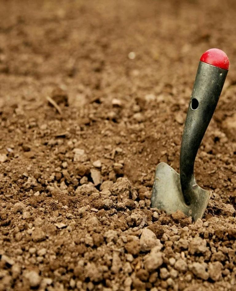 Archaeology Dig