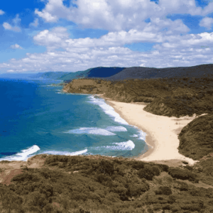 Royal National Park Coast Track Escape