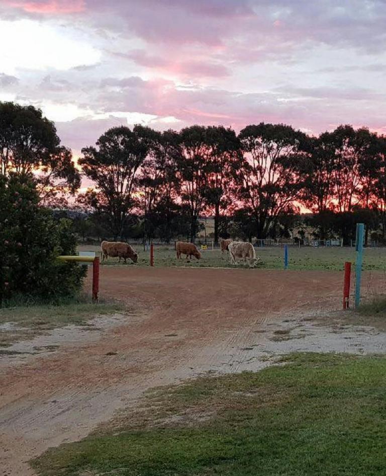 Esperance Bird and Animal Park