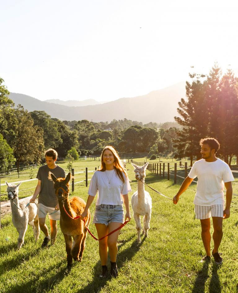 Private Animal Tour