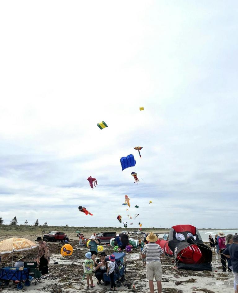 Giant Kites at Beachport