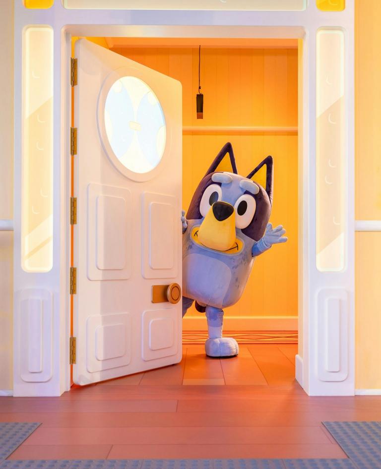 Bluey's World Light Show