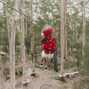 Aerial Adventure Ultimate Pass