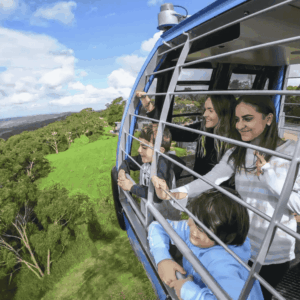 Arthurs Seat Eagle Day Return