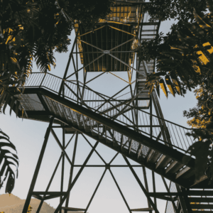 Paronella Park & Mamu Skywalk