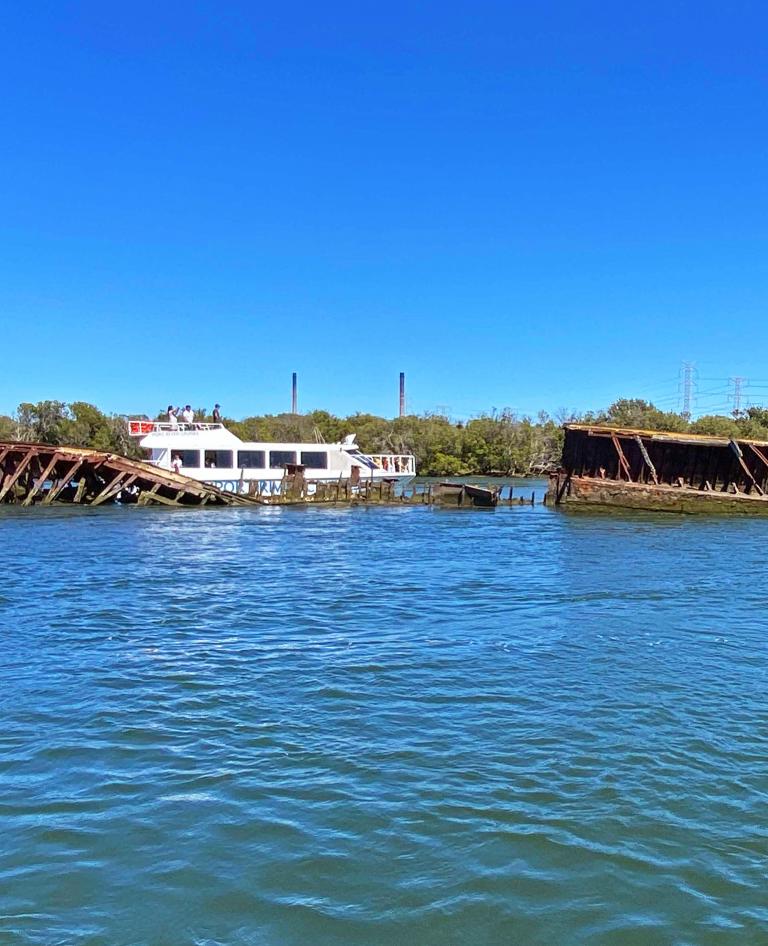 Port River Dolphin & Ships Graveyard Cruise