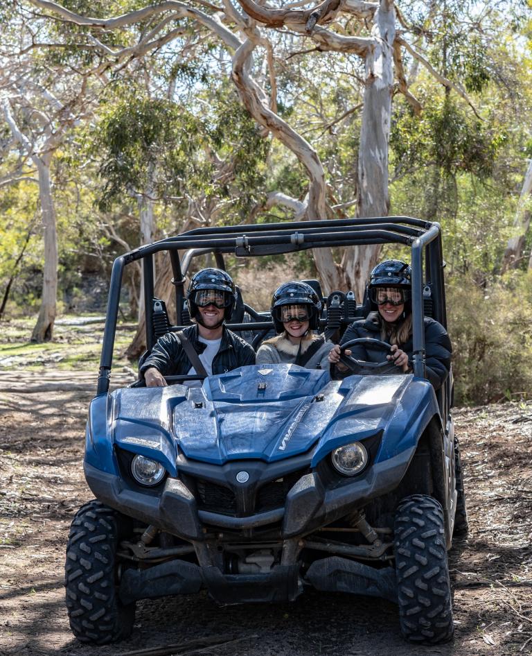 Little Sahara Buggy Tour